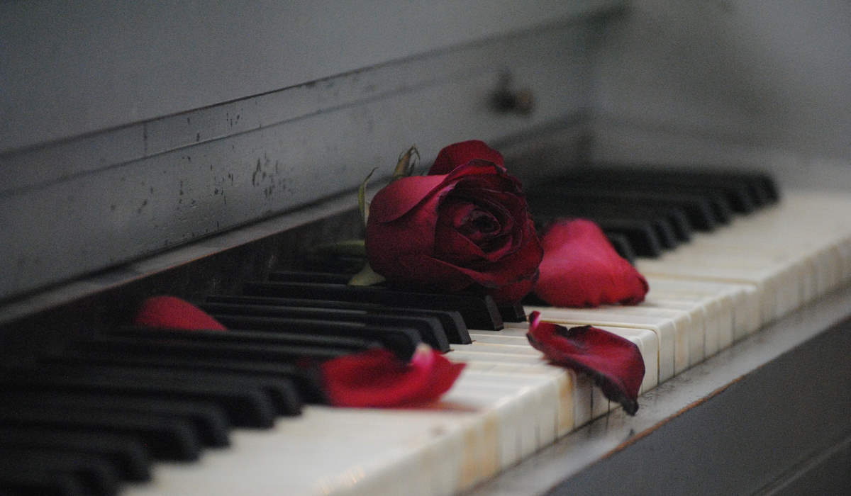 Rosen auf einem Klavier als Indiz dafür, dass Fremdgehen weh tut.