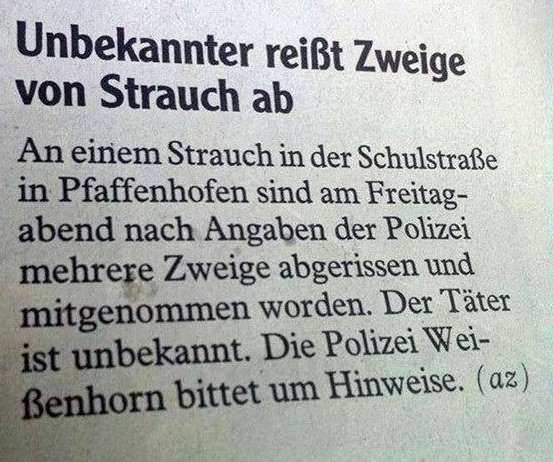 Meldung in einer Zeitung, in der ein Dieb gesucht wird, der Zweige abgerissen hat.