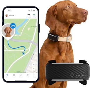 Tractive GPS Tracker Hund | Empfohlen von Martin Rütter | Live-Ortung | Weglaufalarm | Aktivitätstracking | Gesundheitswarnungen | Bellverhalten | Abo Erforderlich (Schwarz) 